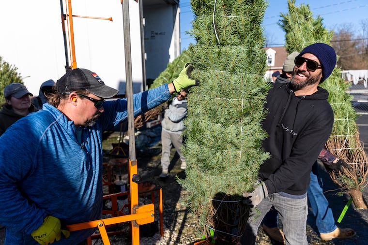 Workers with Trev’s Trees unload Christmas trees from a semi truck from Oregan at a Rita’s Water Ice in Moorestown, Burlington County, in 2022.